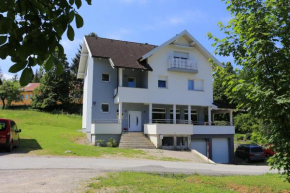 Apartments for families with children Slunj, Plitvice - 17416